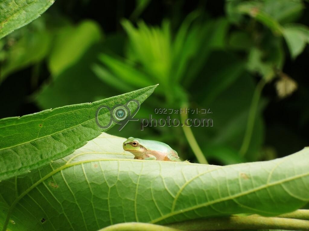 image10883