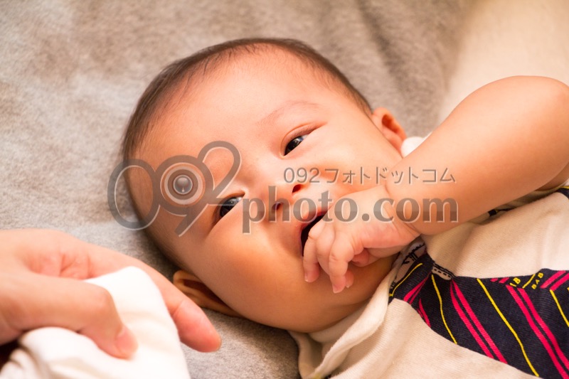 image13952