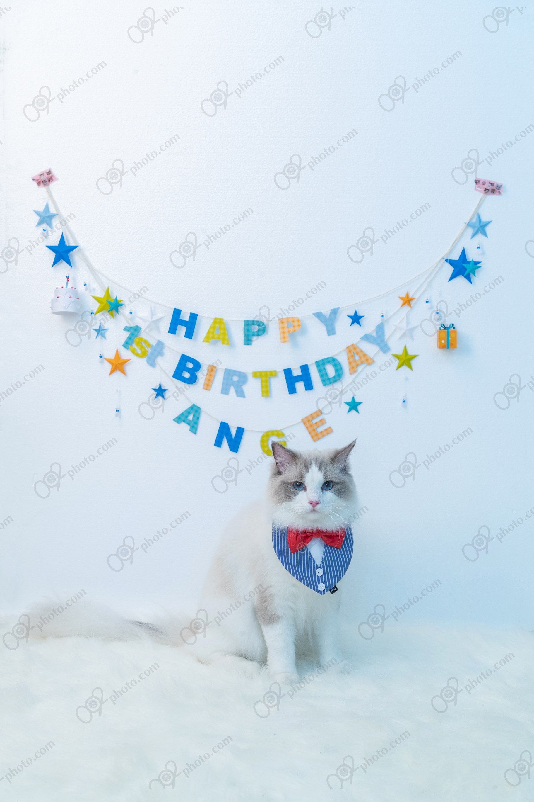 image15960
