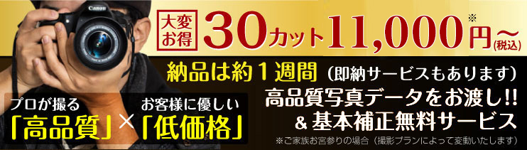 30カット 11,000円（税抜）！激安！枚数無制限！